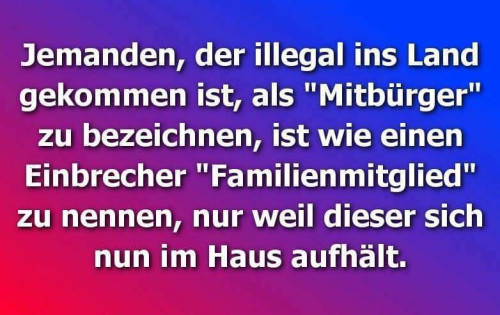 Illegale.jpeg